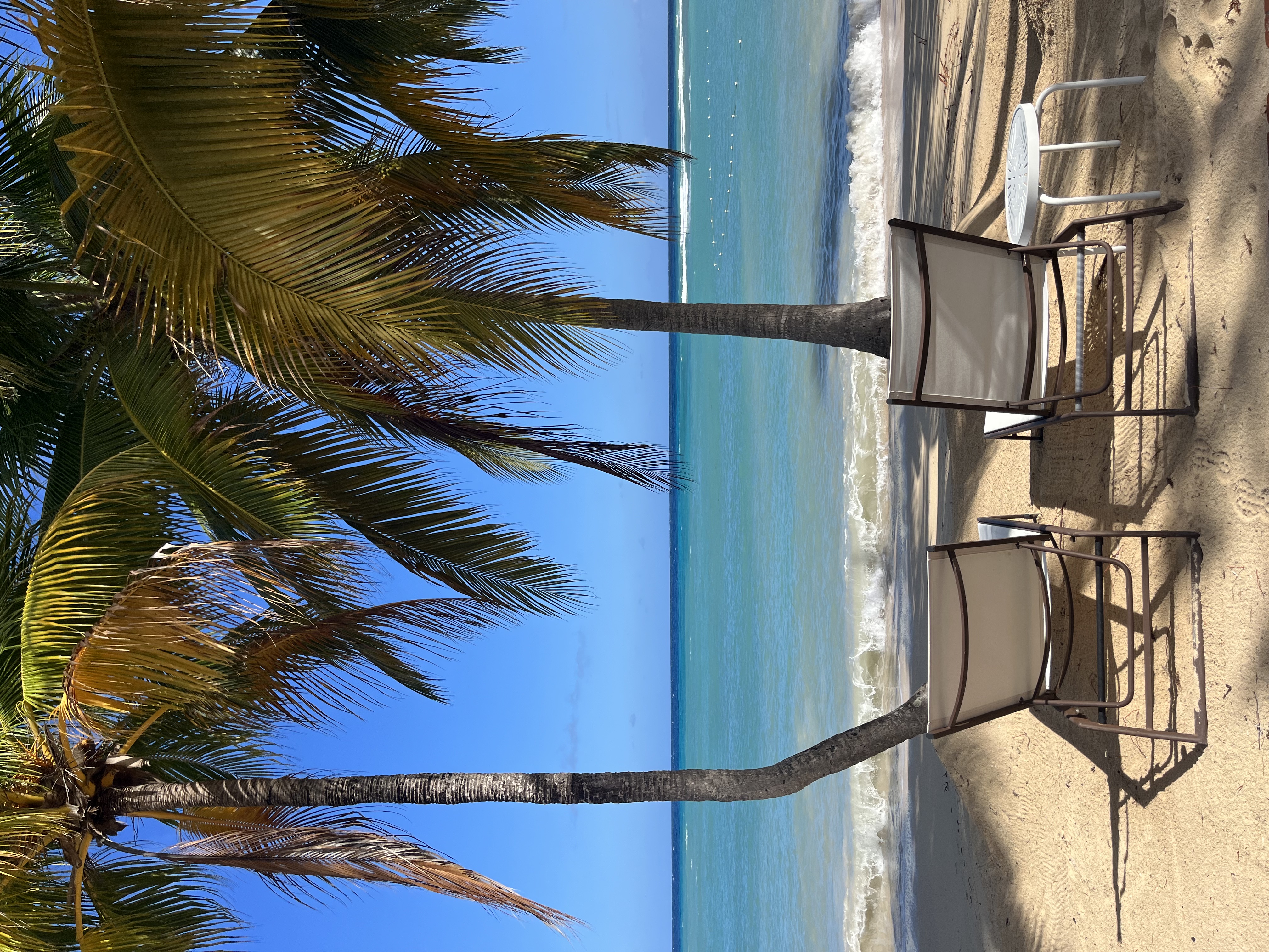 A Caribbean Honeymoon Half Moon, Montego Bay