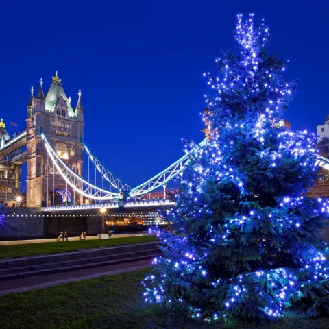 Lightining on the london bridge and tree lit up with blue lights