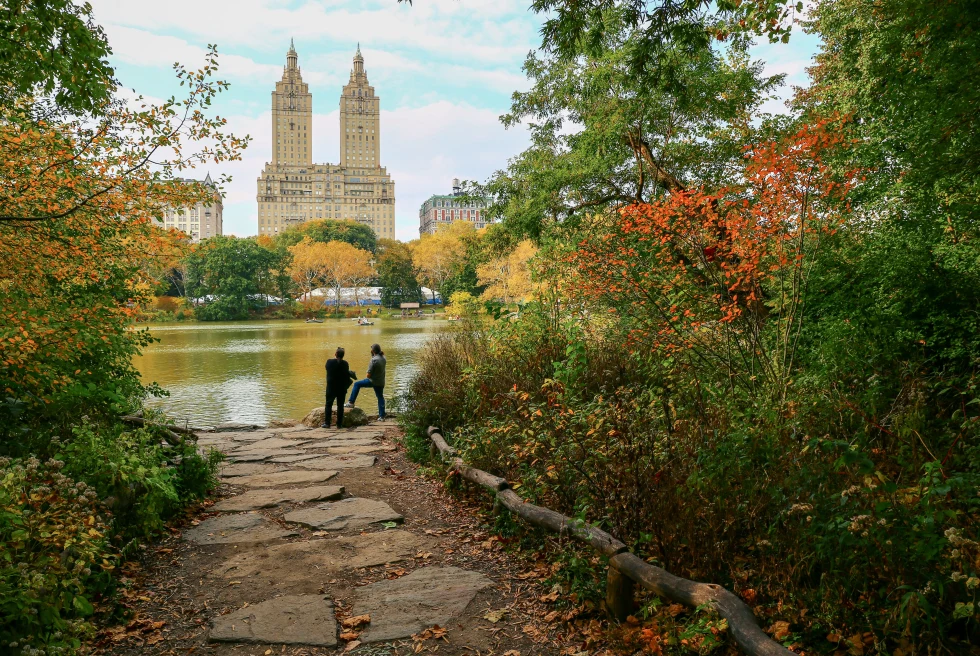 Summer views of Central Park in New York City. 