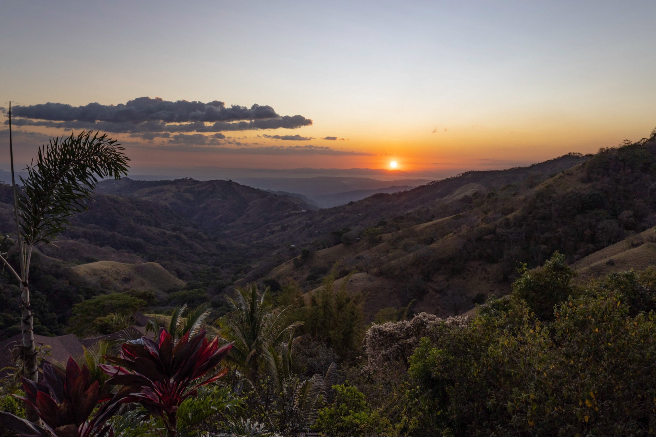 aerial-view-of-forest-costa-rica-travel-guide