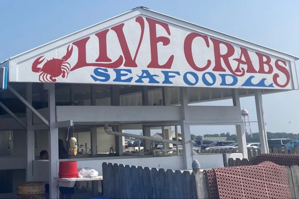H&H Seafood Market is where you can find fresh seafood and Blue Claw Crabs in the Cape May.