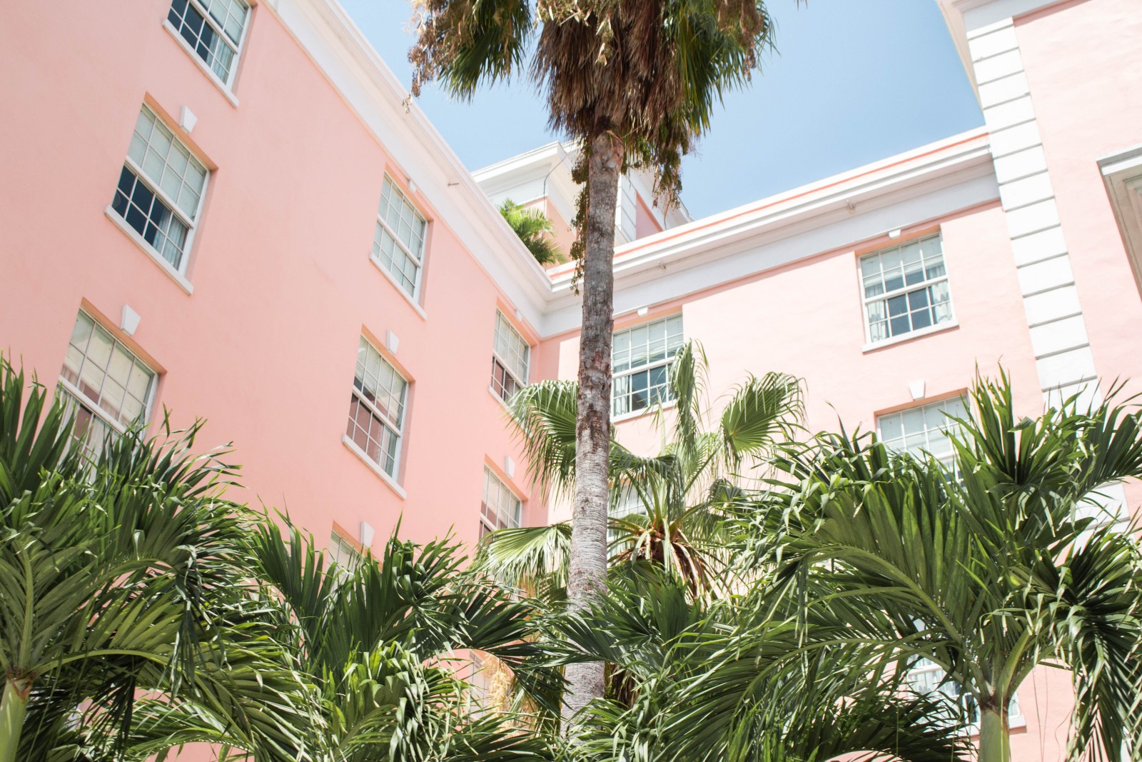pink building with palm trees during daytime