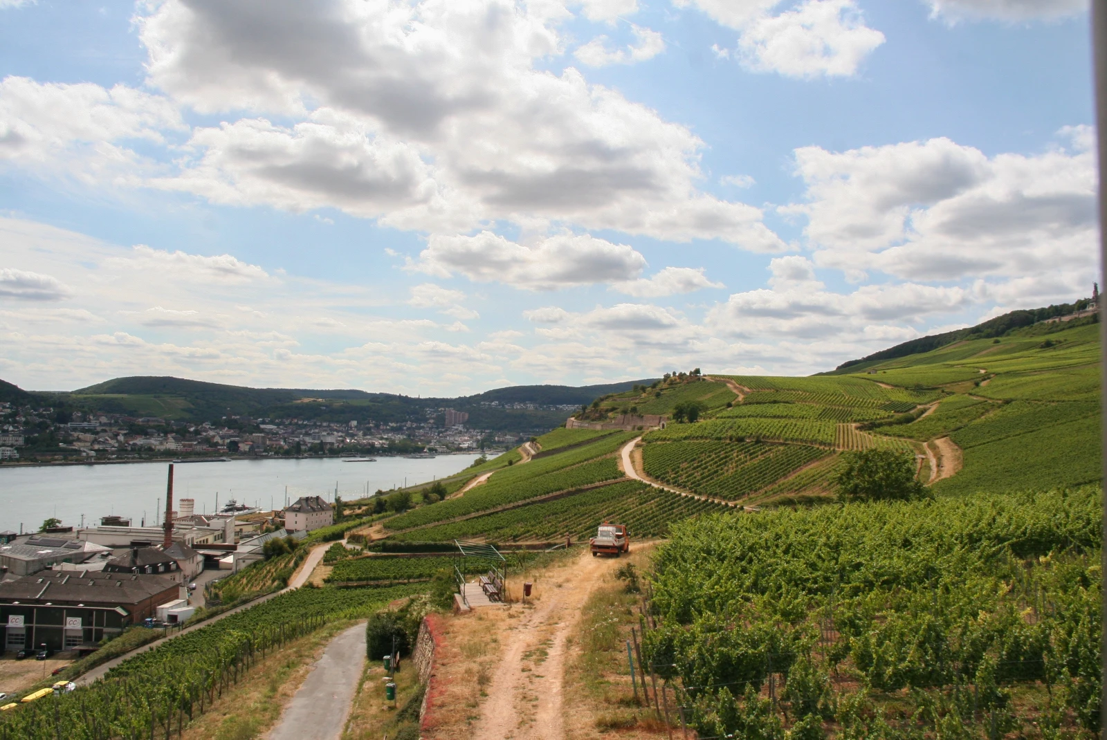 The city of Rudesheim with sprawling green hills and a river. 