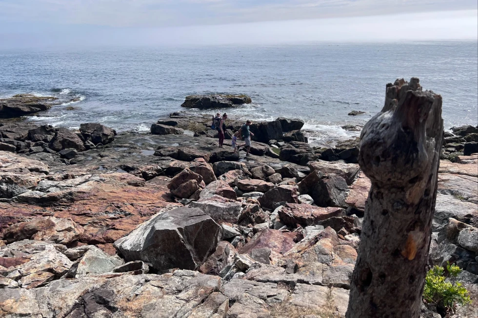 Exploring Acadia National Park: A Fun Adventure for Families - Things to do