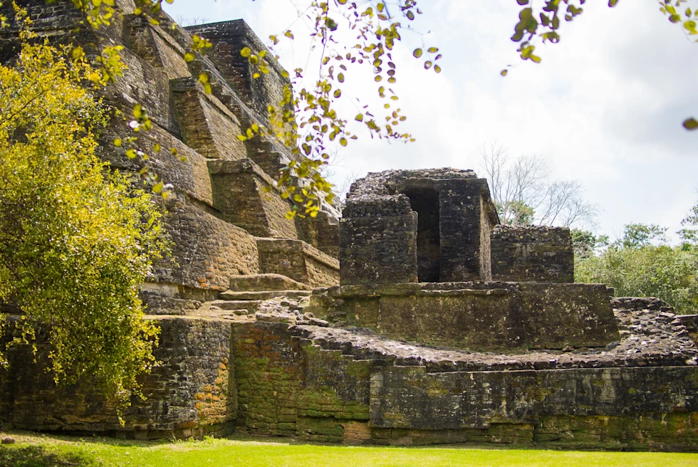 Navigating From the Rainforest to the Beach in Belize - Mountain Pine Ridge Forest