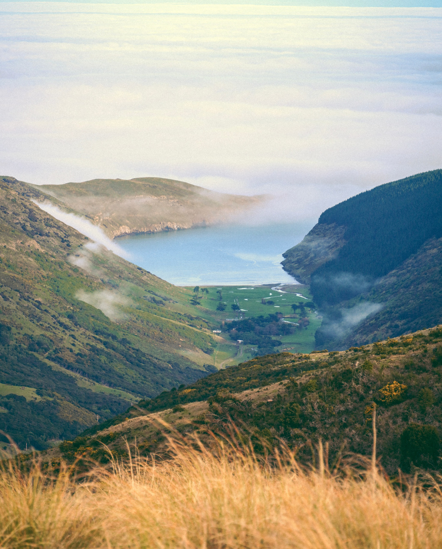 View of green mountainside next to ocean with clouds and blue sky