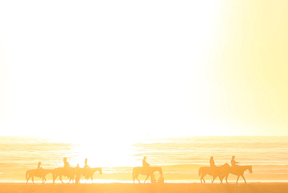 People riding horses on the beach at sunset in Jamaica