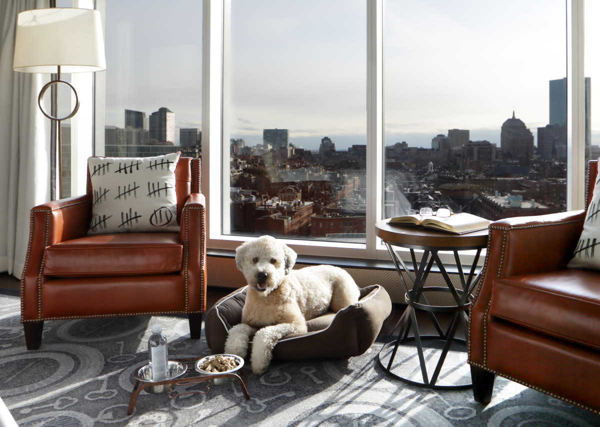 9-best-pet-friendly-hotels-liberty-hotel