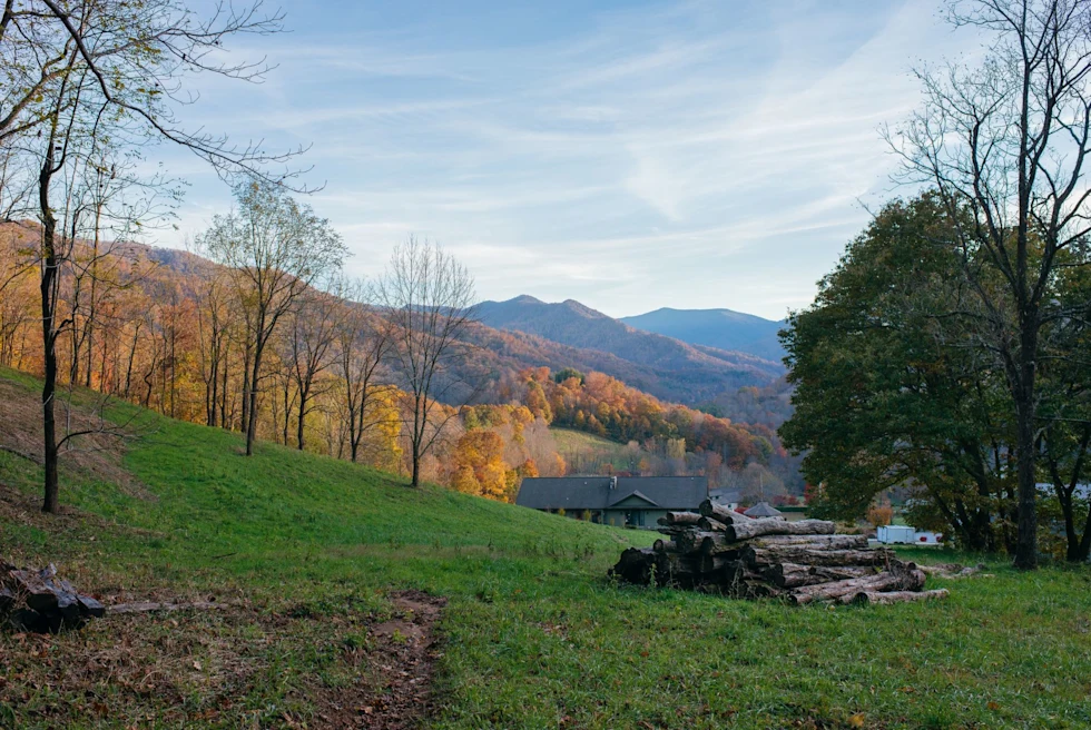 mountain range with pile of wood in the foreground