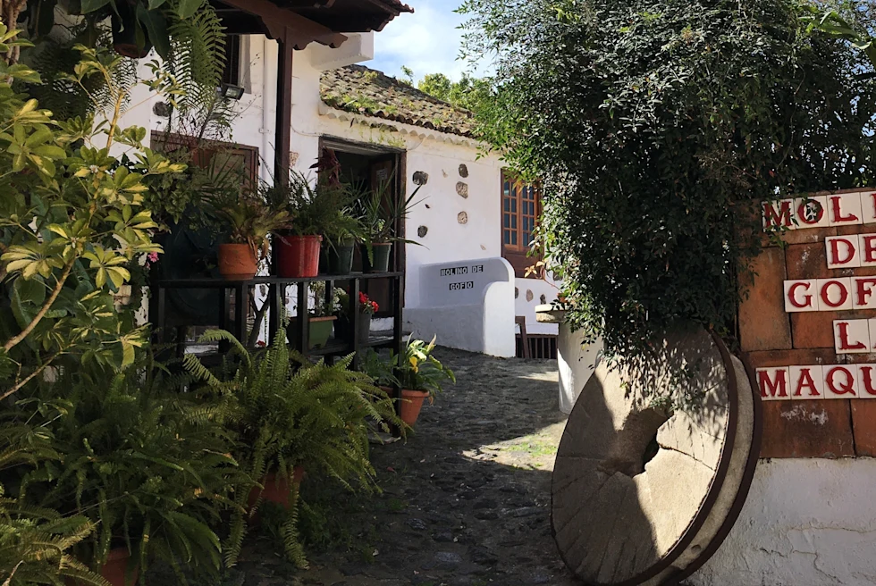 A white building with outdoor plants.