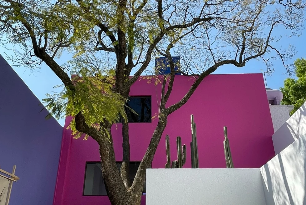 pink modern building