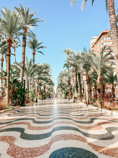 tiled walk lined with palm trees