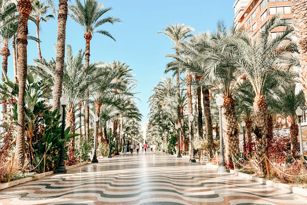 tiled walk lined with palm trees