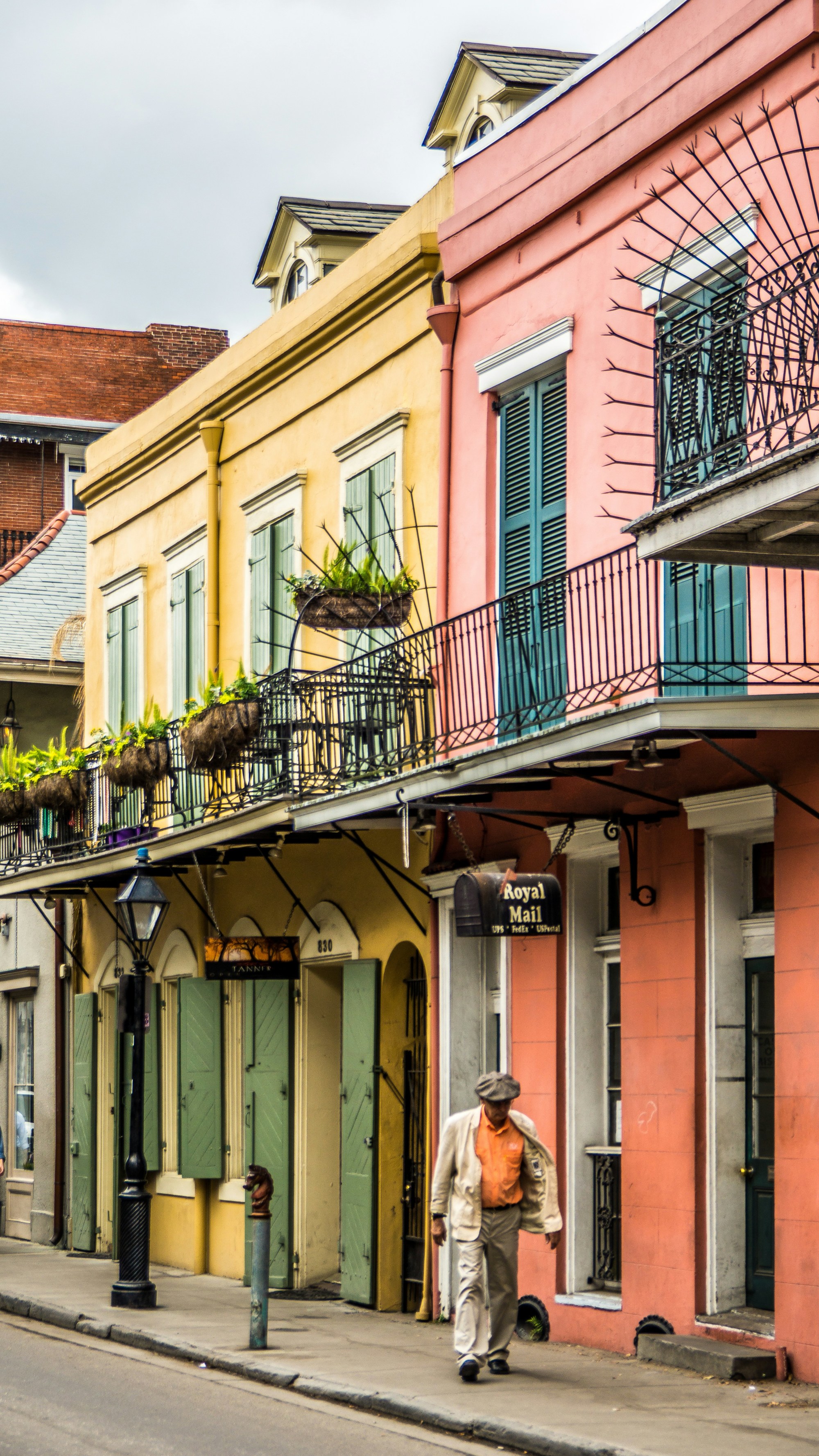 Things to Do in New Orleans in January