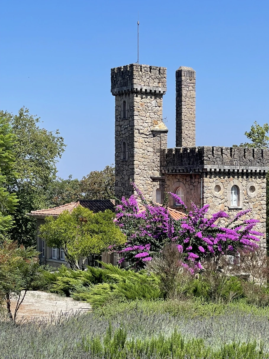 A historical stone tower stands amidst lush greenery and vibrant purple flowers under a clear blue sky.
