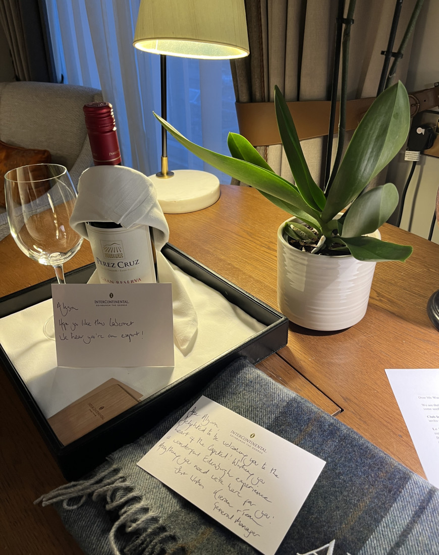 A desk in a hotel room with a plant and notes on top