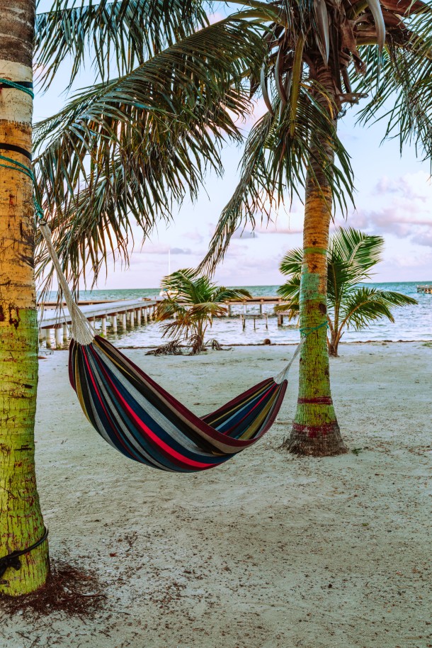 hammock hung between two palm trees during sunset