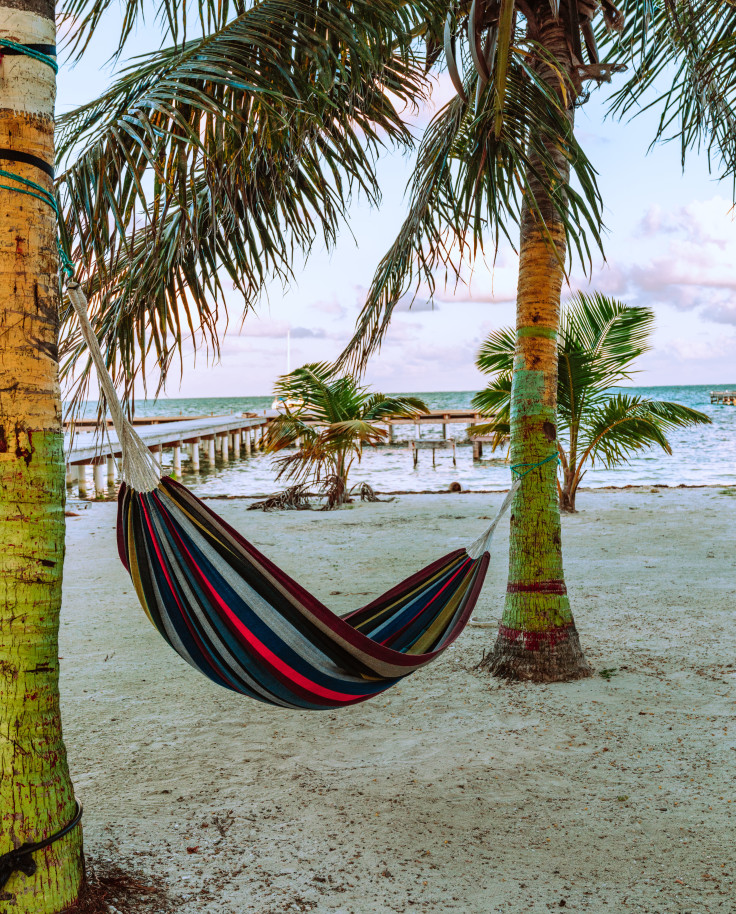 hammock hung between two palm trees during sunset
