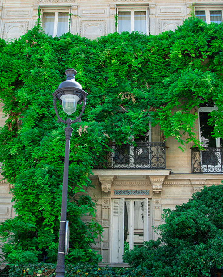 The Green Side of Paris curated by Tara Anbudaiyan 