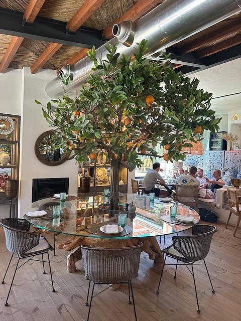 dining area with tree