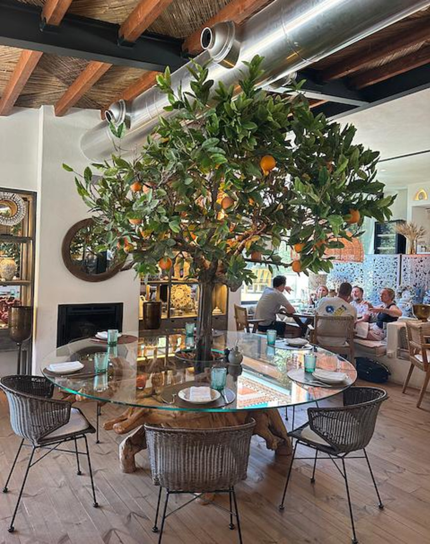 dining area with tree