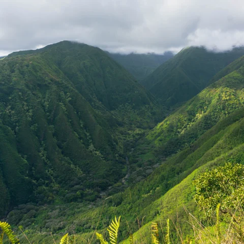 Green mountains with clouds in the sky during daytime