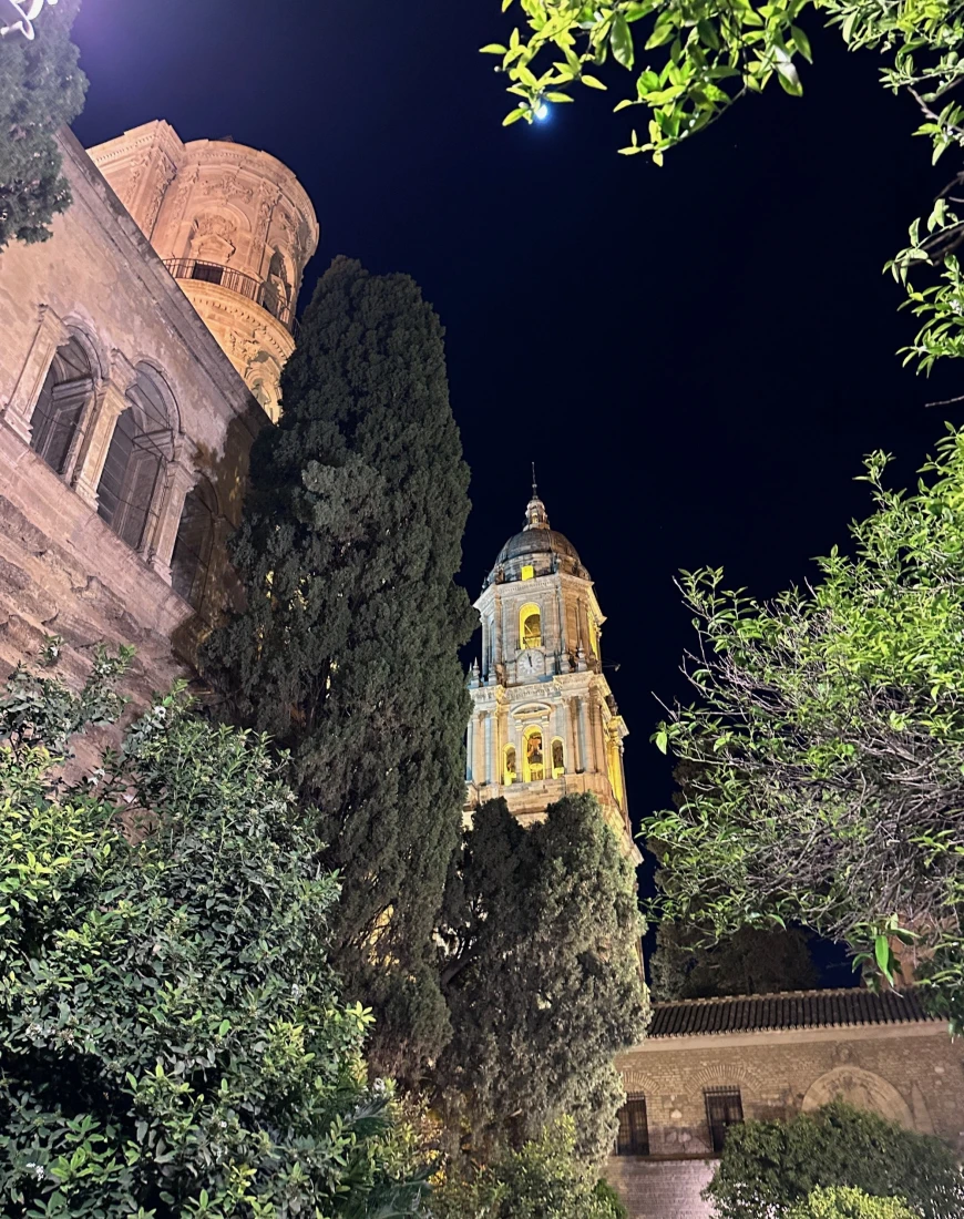 Malaga Cathedral at night - Lara Kudryk-Traska