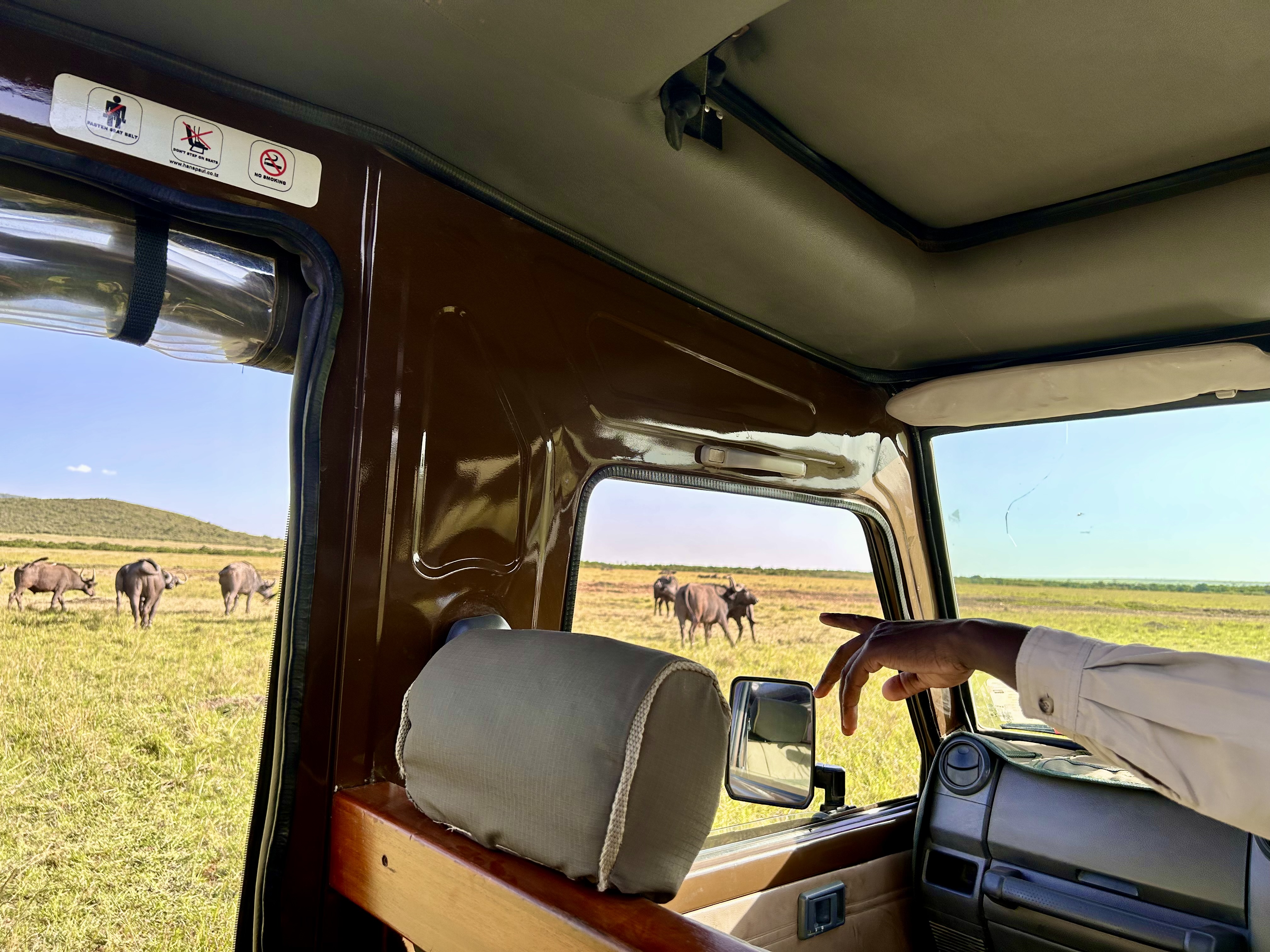 On a Safari tour