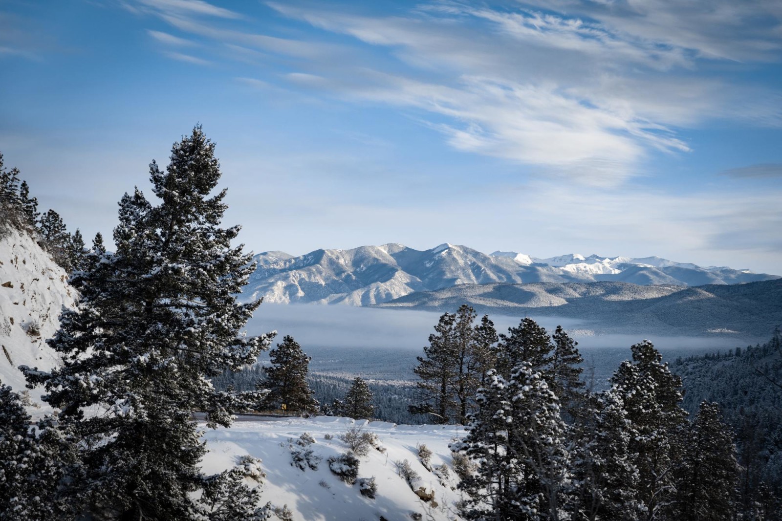 Snowy mountains with pine trees in New Mexico on a clear day.
