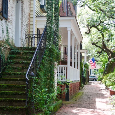 Black staircase covered in green ivy with a brick sidewalk surrounded by green trees with American flag in the distance.