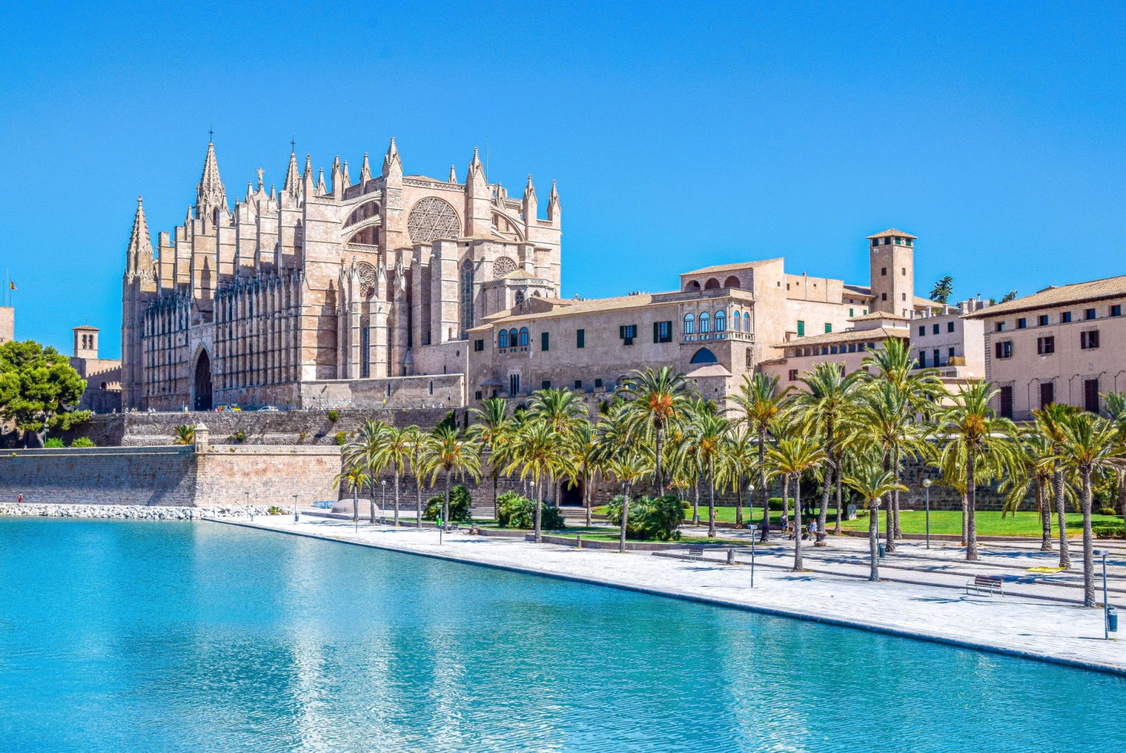 Catedral de Santa María de Palma de Mallorca on a sunny day next to serene body of water and palm trees along clean and paved walkway. 