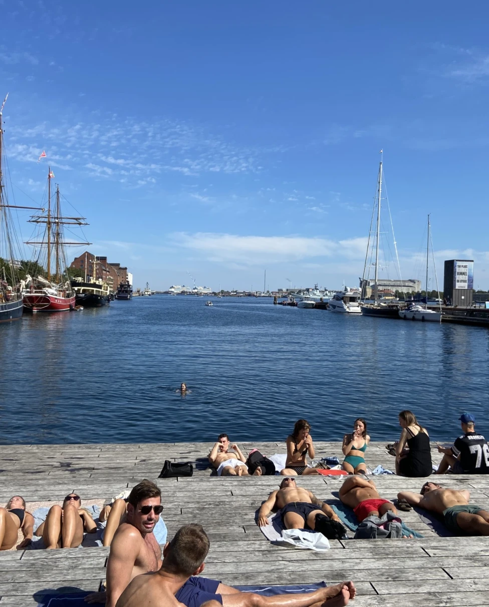 people sun tan on a dock 