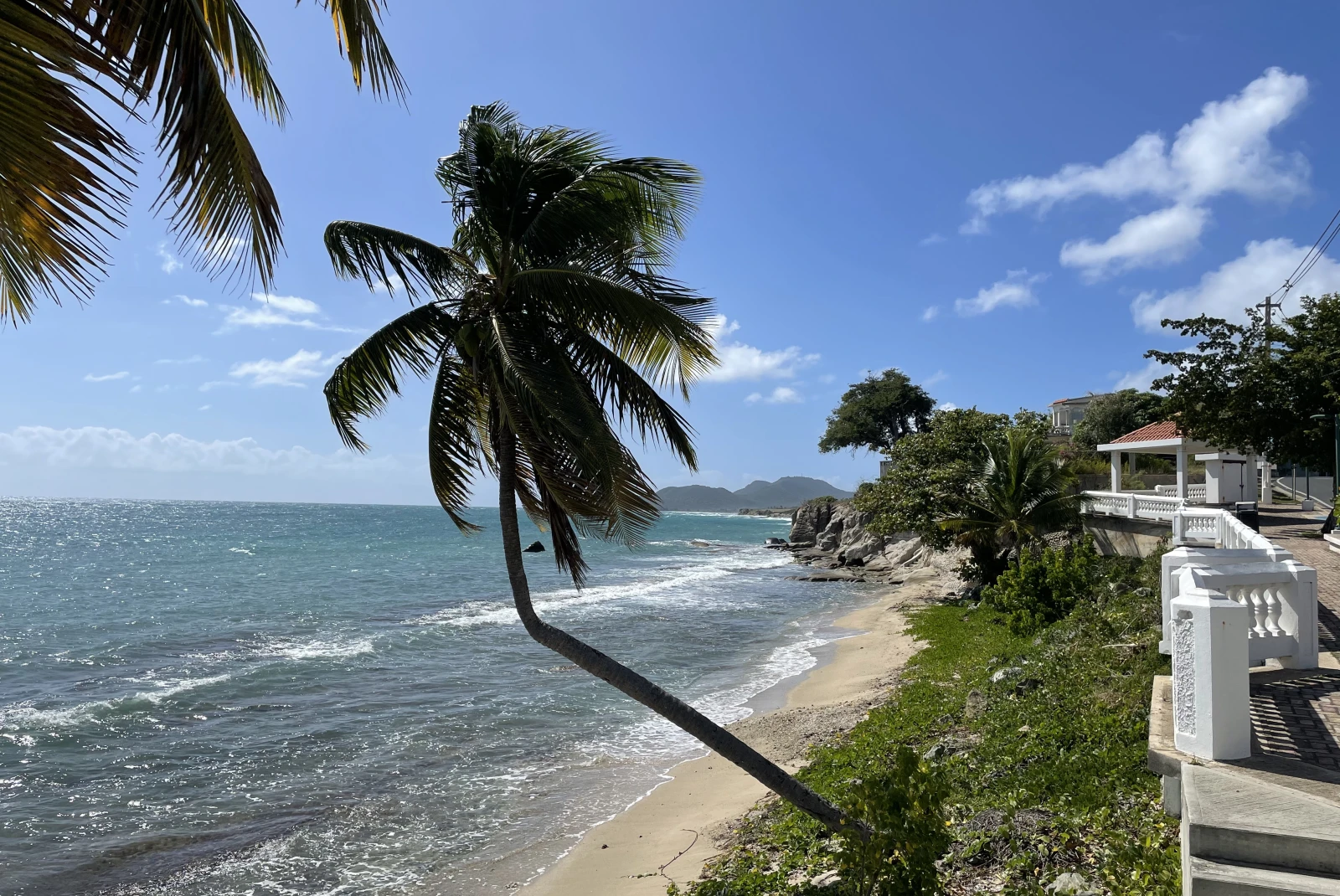 View of the ocean and beach with palm trees during daytime