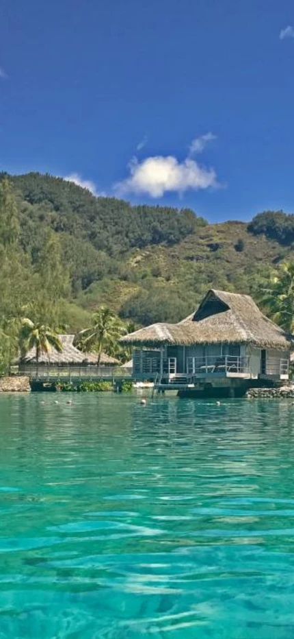Thatched huts perched above a turquoise sea in French Polynesia