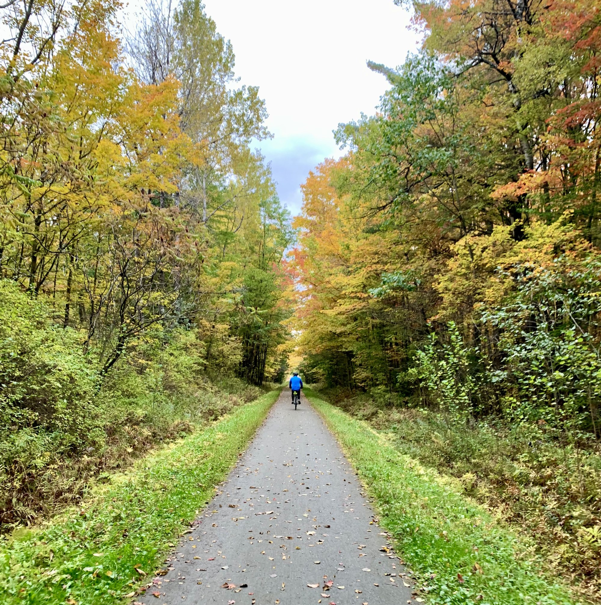 Biking While Leaf Peeping Vermont to Montreal