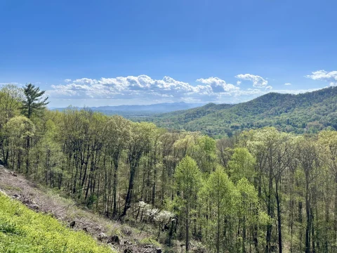 A landscape view of mountains and forests under a blue, North Carolina sky.