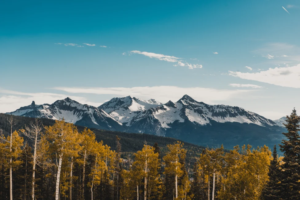 snow-capped mountains with trees in the foreground during daytime