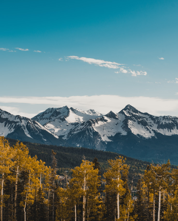 snow-capped mountains with trees in the foreground during daytime