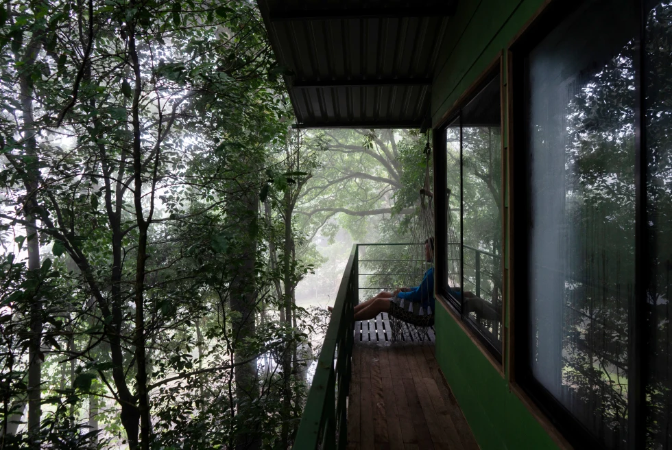 Jungle, person sitting on a deck. 
