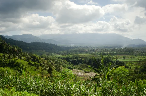 Lush green valley in Bali 