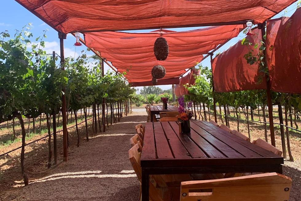 Beautiful Cafe in Mexcio