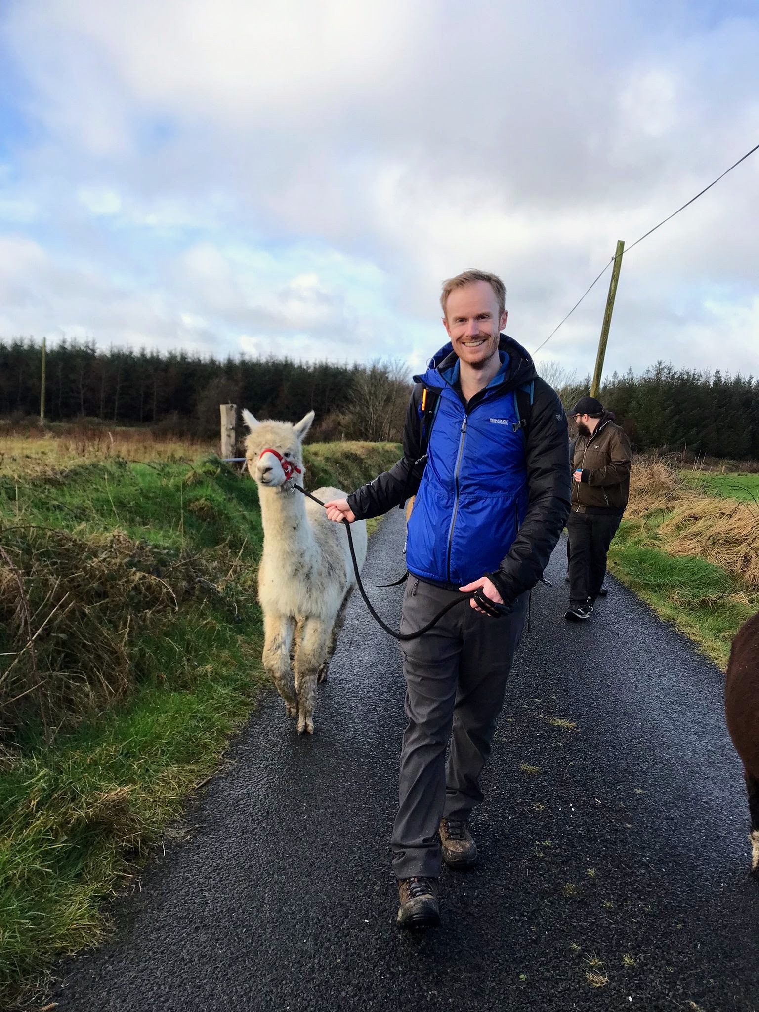 Andy McFarlane Fora Travel
