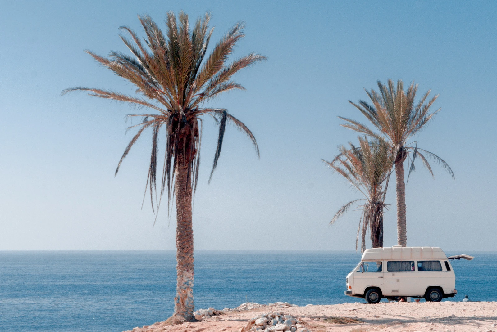 Camper van with open trunk parked along seaside cliff with palm trees in FL.