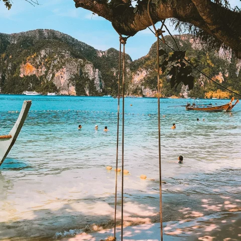A view of rope swings tied to a tree in front of the beach shore, turquoise blue water, boats and rocky green cliffs in the distance.