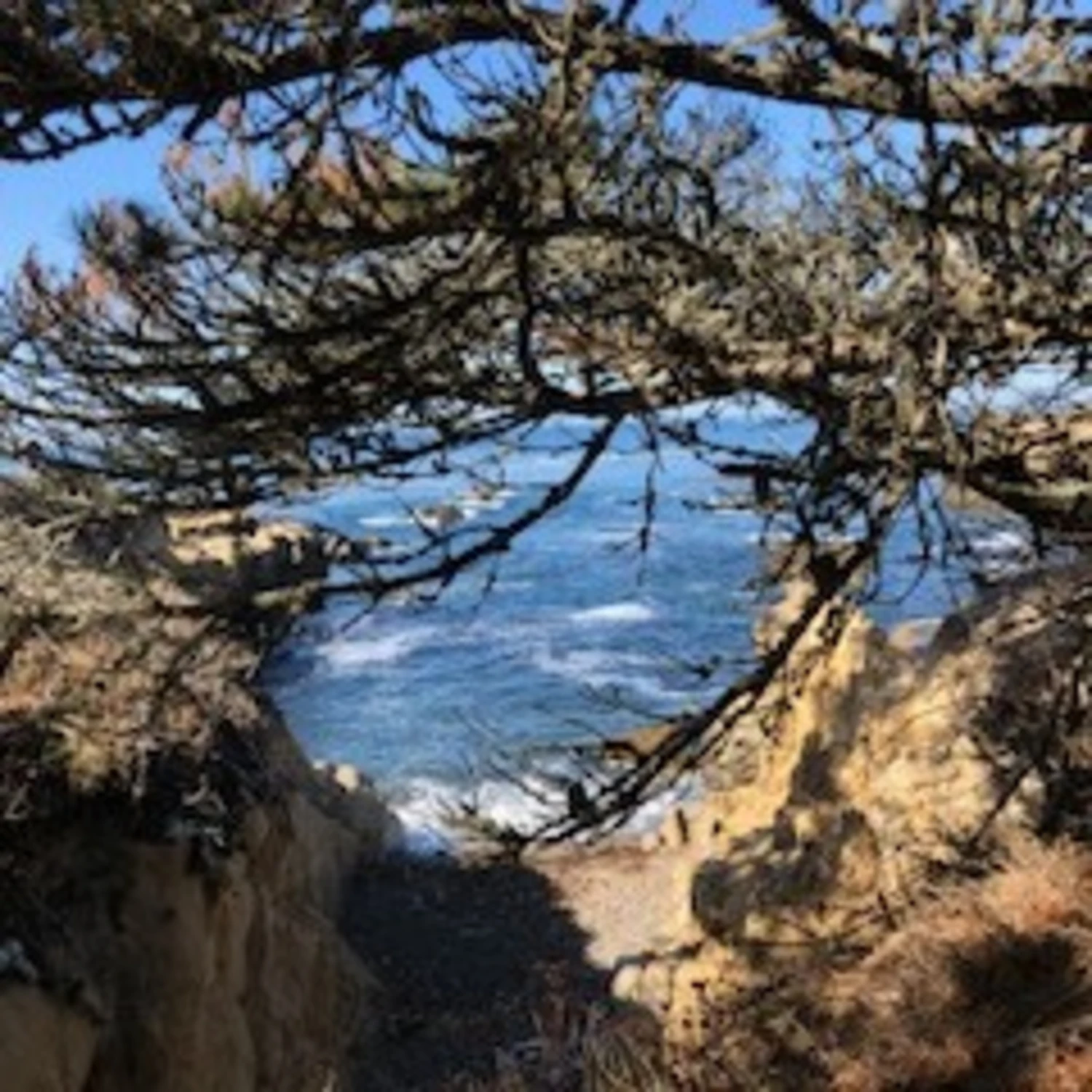 Travel Advisor Lauren Goldstein took a photo of a hidden beach.