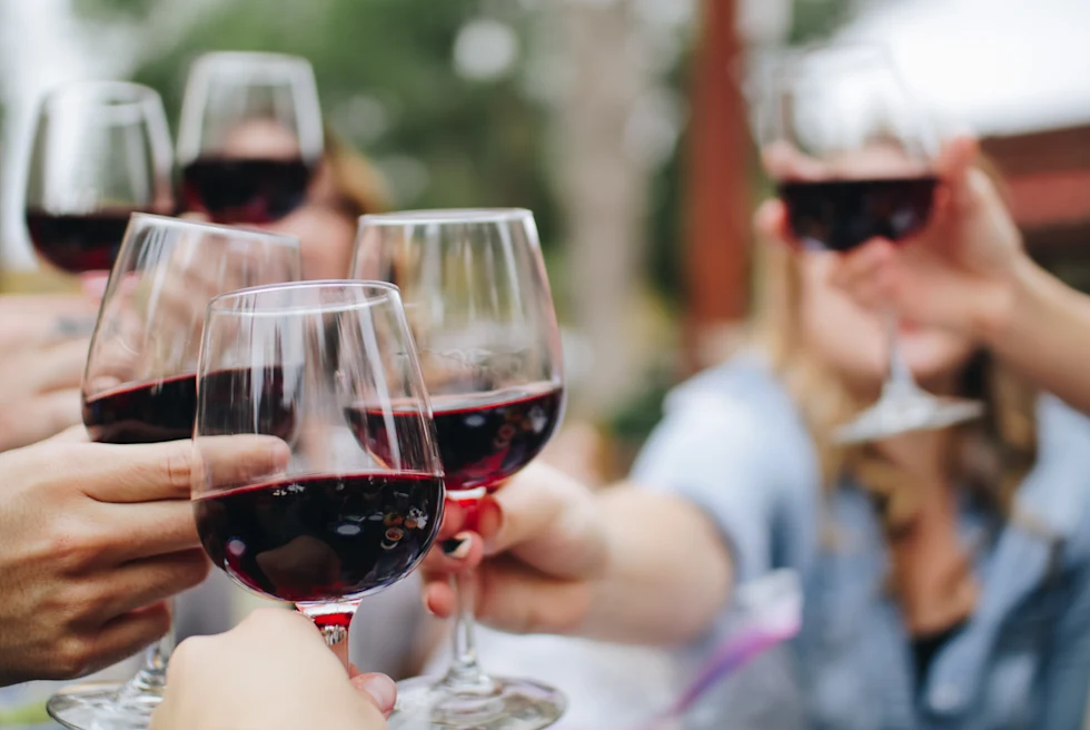 People cheering up with glasses of wine.