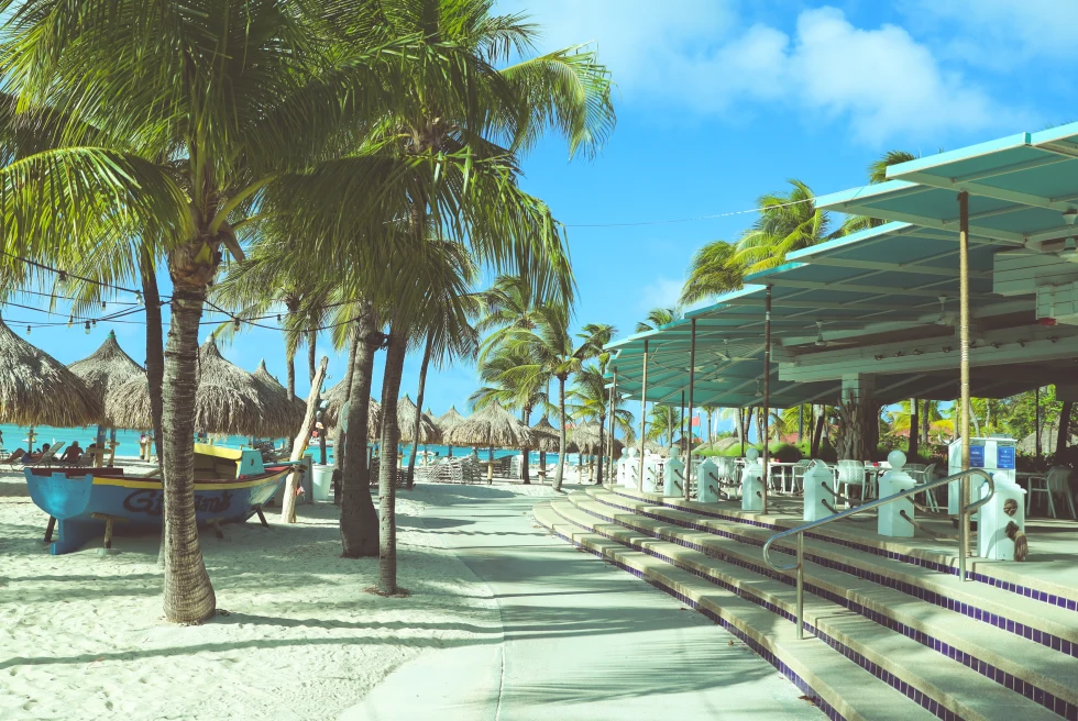 Walkway lined by palm trees next to building during daytime