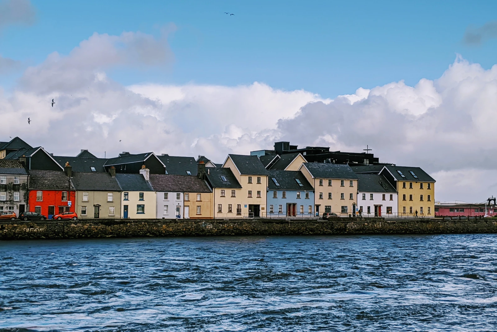 Houses lined up on the coast in Galway. 