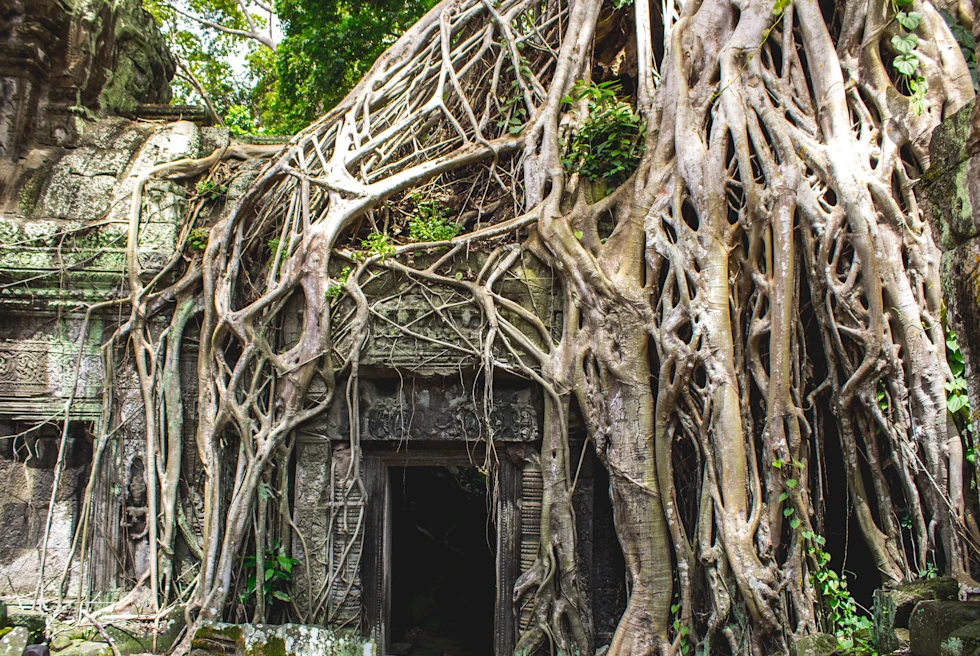 A 3-Day Itinerary of Siem Reap - Day 2: Temples and Khmer culture