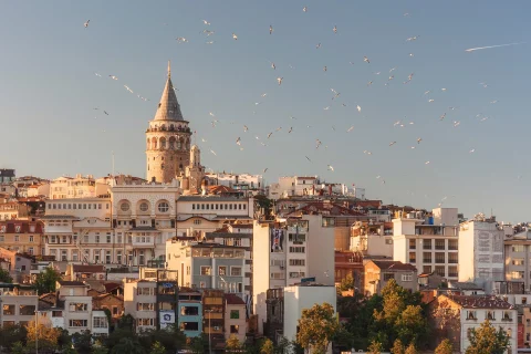 Architecture in Istanbul with white and blue buildings with flat and pointed roofs blue skies with birds 